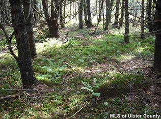 0 Vare Rd, Prattsville, NY 12468