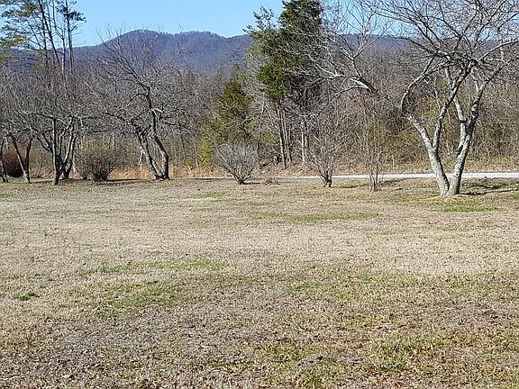mountain view from property