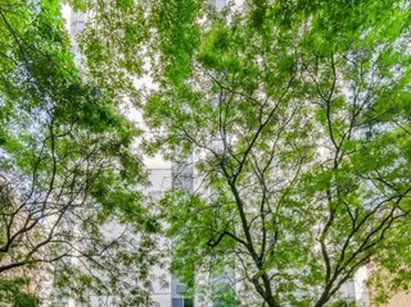 1339 N Dearborn St APT 11H, Chicago, IL 60610