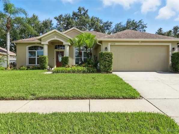 22330 Willow Lakes Dr, Lutz, FL 33549