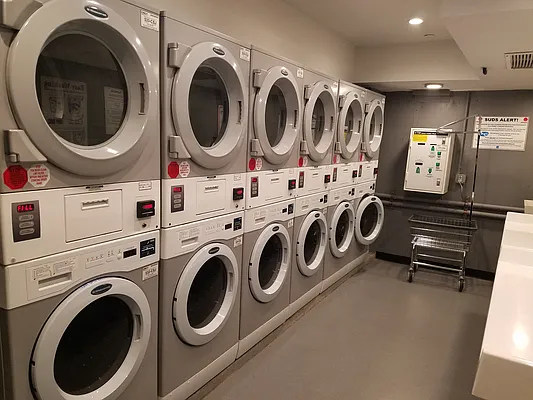 Rented by Keller Williams Realty Gold Coast | media 9