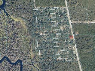 NE 190th Pl LOT 45, Fort Mc Coy, FL 32134