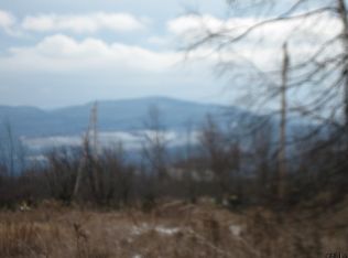 492 Travis Hill Rd, Preston Hollow, NY 12469