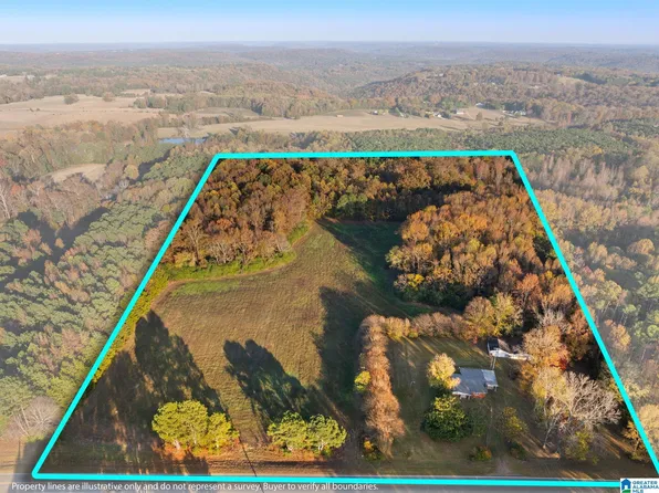 2986 Eva Rd #0, Falkville, AL 35622