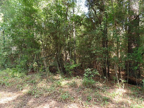 4th image of 415 County Road 580