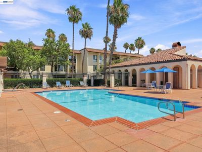 39843 Cedar Blvd Unit 219, Newark, CA, 94560