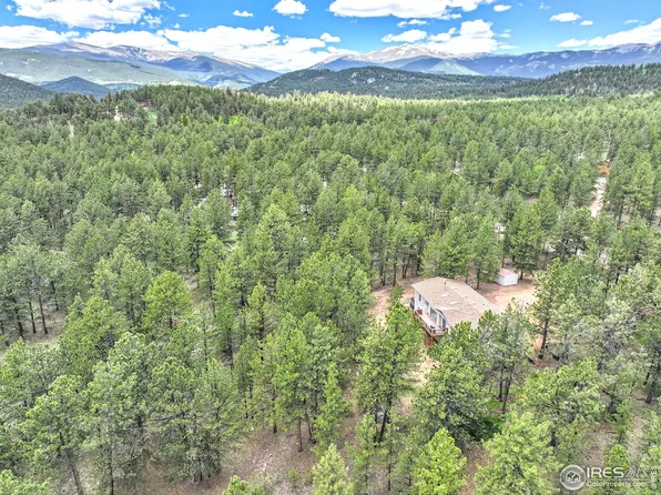 56 Bounty Hunter Ln, Bailey, CO 80421