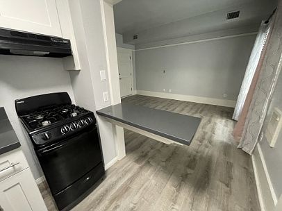 4th image of 134 W Hawthorn St #10