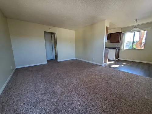 Floor plan 40