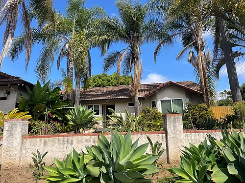 1514 Avocado Dr Photo 1