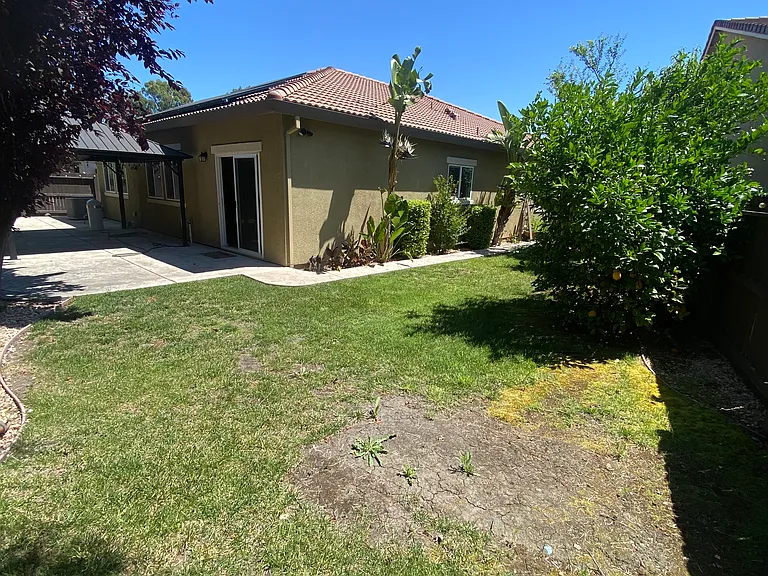 2995 Stable Dr — Photo 49