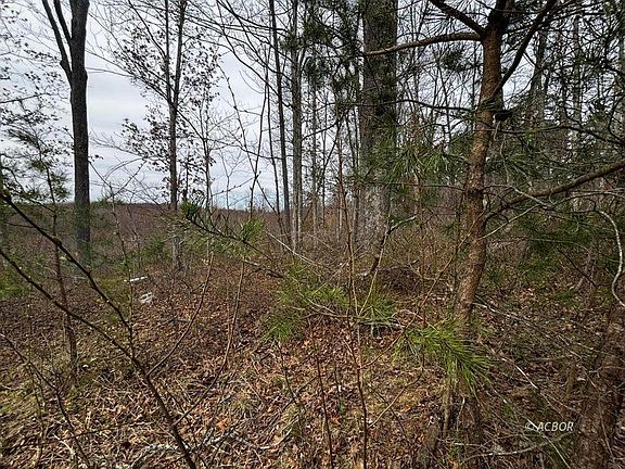 5th image of 799 Woodruff Rd