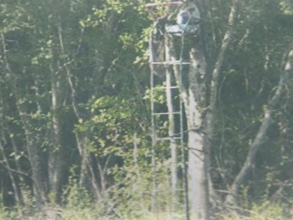 2nd image of Milan Chauncey Rd