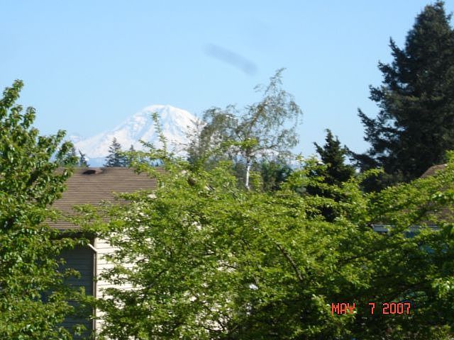 Mt Rainier View 