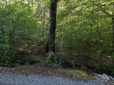 1 Cave Branch Rd, Dickson, TN, 37055