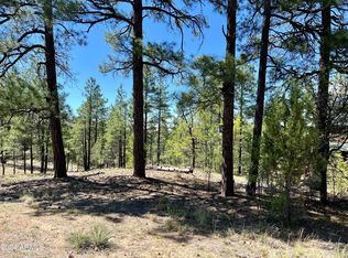 4500 Fox Glove Ln #32, Show Low, AZ 85901