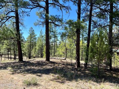 4500 FOX GLOVE Lane #32, Show Low, AZ, 85901