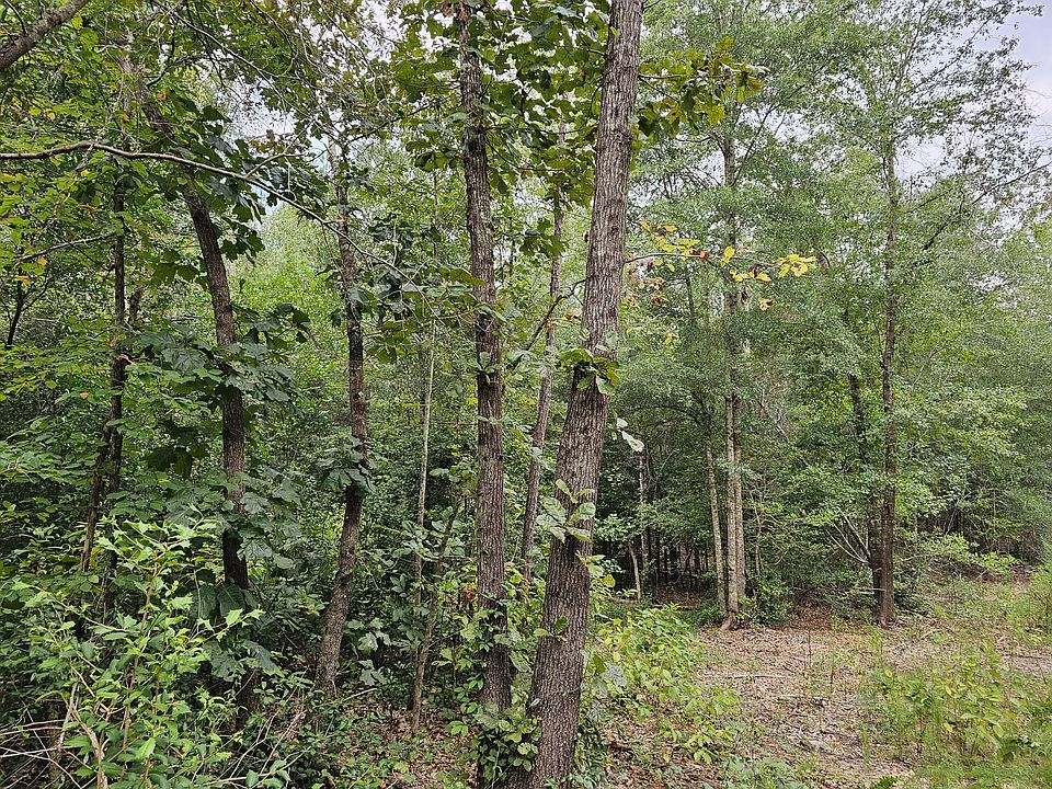 2nd image of 535A Union Academy Rd