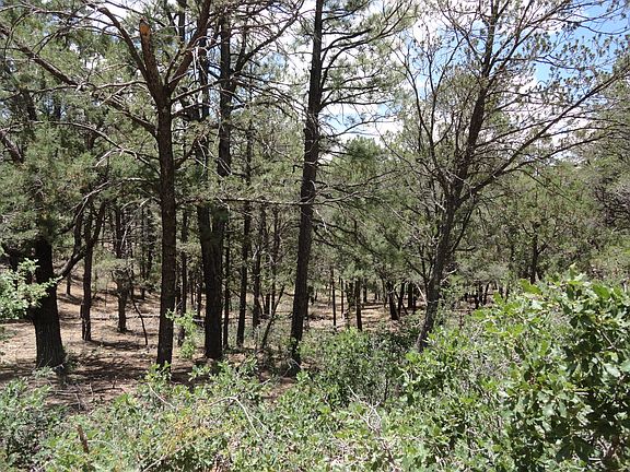 5th image of Camino Alto #1