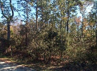 13190 NE 156th St, Fort Mc Coy, FL 32134