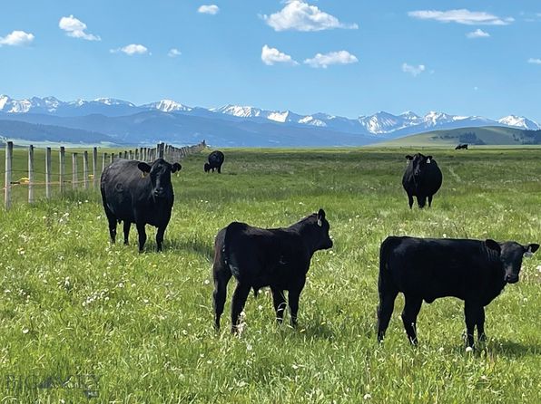 3793 State Highway 1, Philipsburg, MT 59858