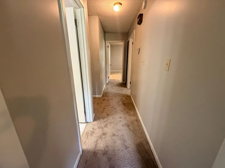 4317 Oak Ridge Bnd — Photo 17