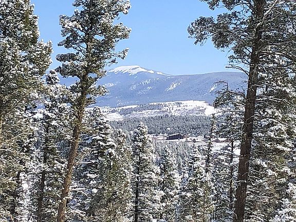 Winter scene w/mountain view
