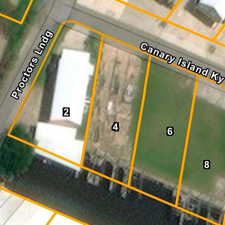 2nd image of 6 Canary Island Ky