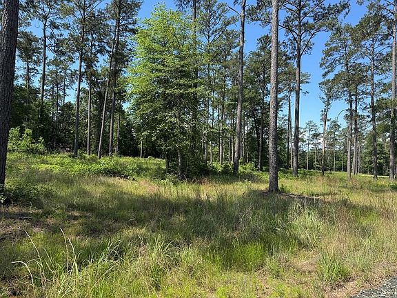 3rd image of LOT 10 Private Road 6028