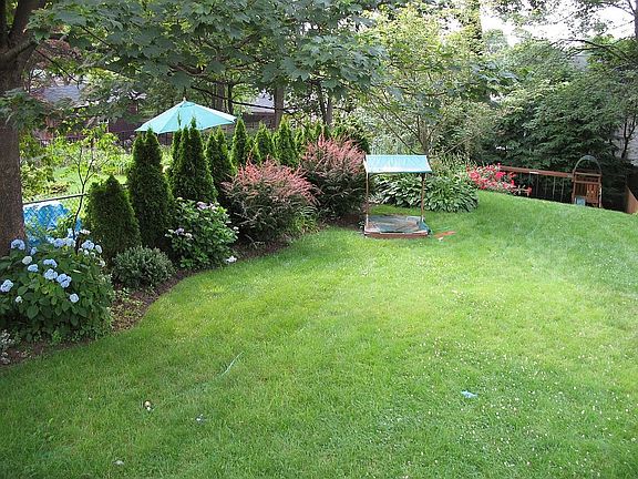 back yard 1