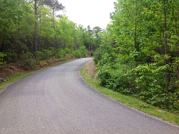 Driving Up Blue Mist