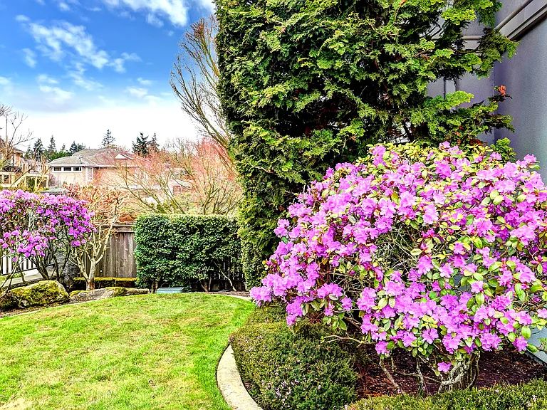 16458 SE 44th Pl — Photo 35
