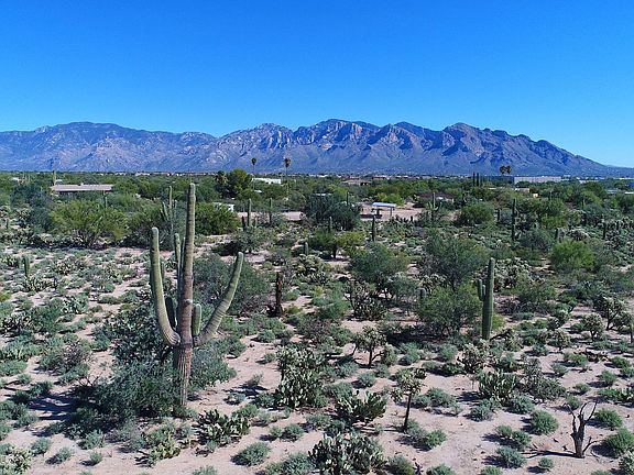 5th image of 11328 N Coyote Blue Ct