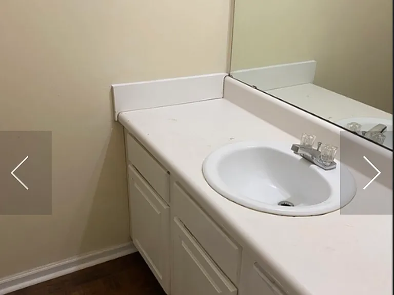 Camden Forrest Dr — Photo 17