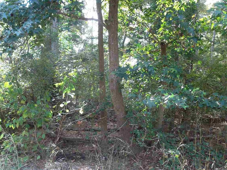 2nd image of 10170 Squirrel Circle