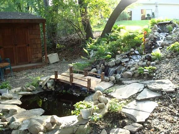 shed and pond