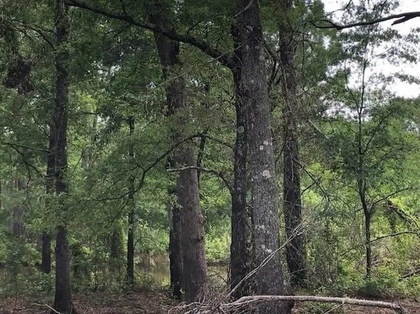 3546 Highway 163, Doyline, LA 71023