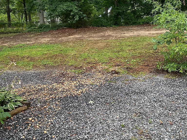 This home has a nice large yard in back. Previous tenants had set up table/chairs/BBQ/fire pit and string lights. It is a peaceful place to be when you are home.