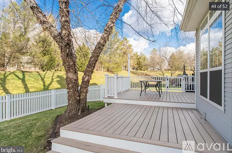 deck (tree is not there anymore, just a stump)