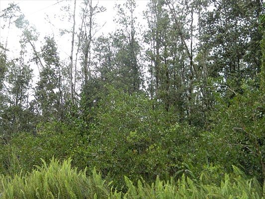 5th image of Hou St Lot 456