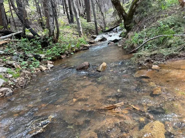 Acres 10 Blaze Trl, Grizzly Flats, CA 95636