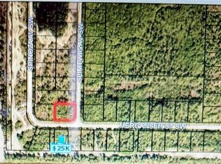Merganser Street Sw & Slimtwig Ave, Palm Bay, FL 32908