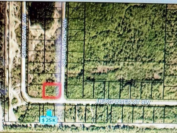 Merganser Street Sw & Slimtwig Ave, Palm Bay, FL 32908
