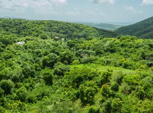 9-E Montpellier PR, St. Croix, VI 00840