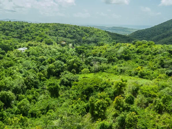 9-E Montpellier PR, St. Croix, VI 00840