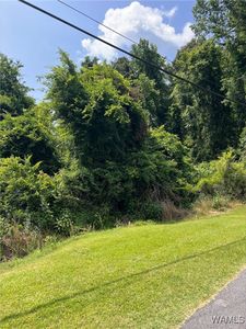 0 Northwood Lake Dr W, Northport, AL, 35473