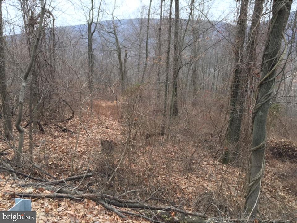 2nd image of 791 High Rd
