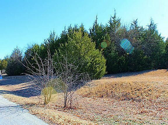 2nd image of 14 Shady Bend Dr