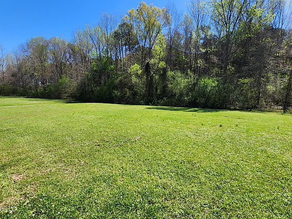 3rd image of 244 Levon Owens Dr