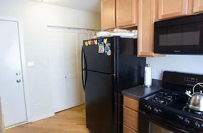 7609 N Bosworth Ave #3N — Photo 5